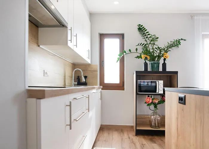 Apartmán Superior Sincic